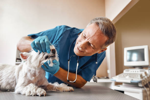 Best Emergency Dental Extractions in Enterprise, WV